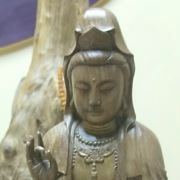 tcy~186602722