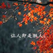 趁风将起