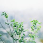 是是非非23