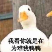 咔咔就是发鸭