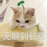 真的没意思886