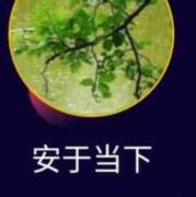 安于当下