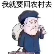 从未停息2023