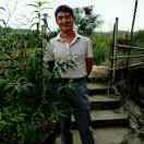 WX~186855550