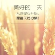 静听13