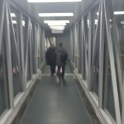 tcy~187025066