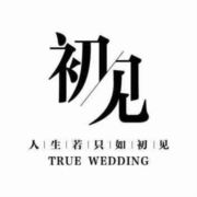 初见君时