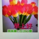 我相信好人有好报
