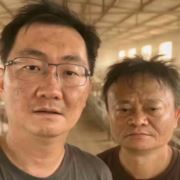 两只俊马