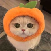 Aa于888