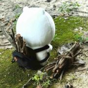 茶器主播