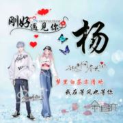 奋斗的小鸟948