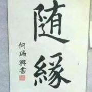 tcy~187241113