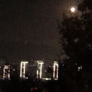 WX~187316310