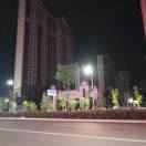 tcy~187453713
