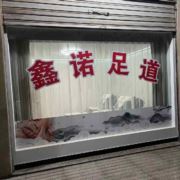 tcy~187455556