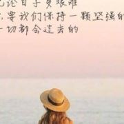 WX~187463251