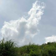 WX~187467815