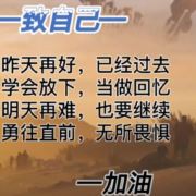 陆立15557225399