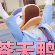 丢了个丢喵