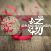 货车驾驶员009