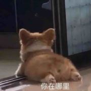 陳港港