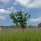 WX~187563659