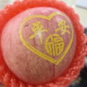 爱不得忘不舍