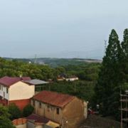 WX~187773578