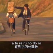 叮叮11177