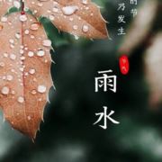 吃饭用户