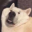 嵊州某人就是我