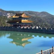 京东苏宁五星电器