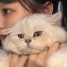 WX_觉