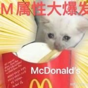 壹岁又壹岁
