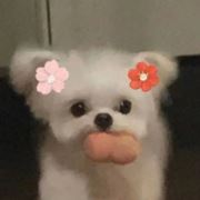 WX_浔