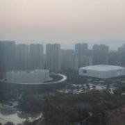 tcy~187952213