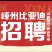 嵊州比亚迪招聘