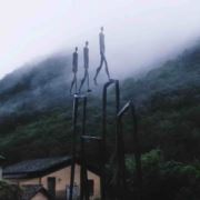 蜉蝣y