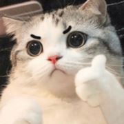 夜里的羊
