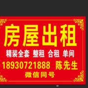 美丽无声769