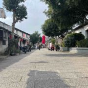 1964鱿鱼