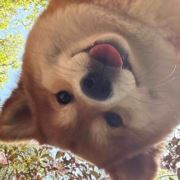爱吃西瓜的小妞