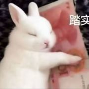 地球游客357