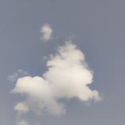 tcy~188167714