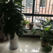 骑马乐天下