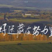 小班辅导家教