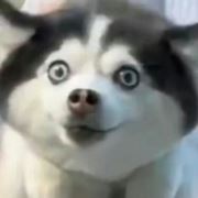 不念曾经过往