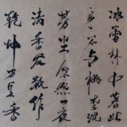 tcy~188294565