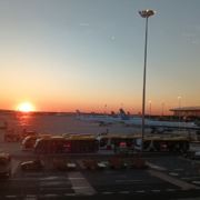 tcy~188317906